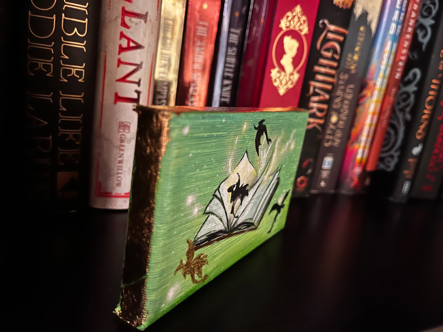 Fourth wing inspired bookshelf Art