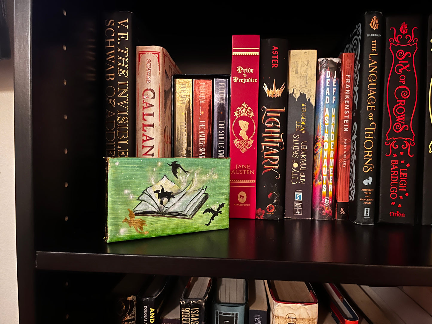 Fourth wing inspired bookshelf Art